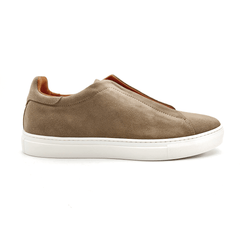 Vireo